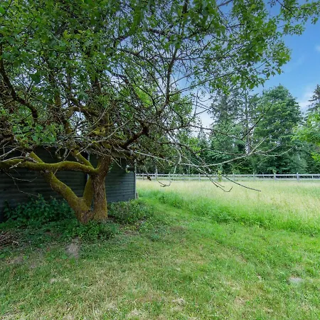 With Terrace Eisfeld