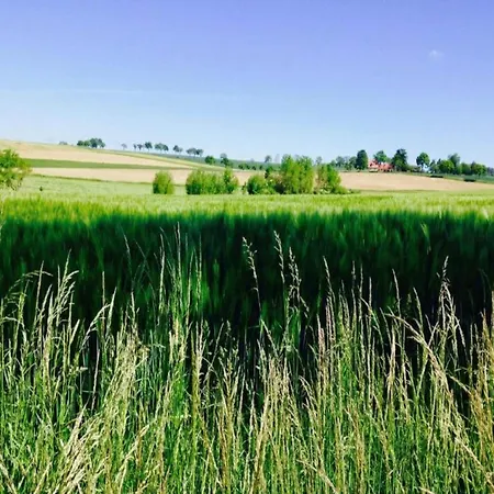 With Terrace * Eisfeld