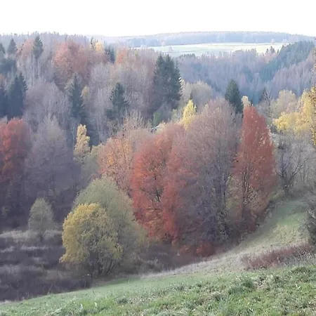 Directly On The Rennsteig Eisfeld