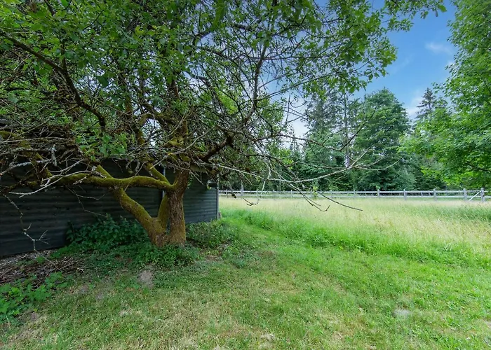 With Terrace Eisfeld