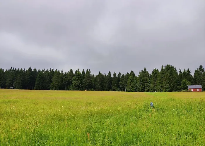 With Terrace Appartement *