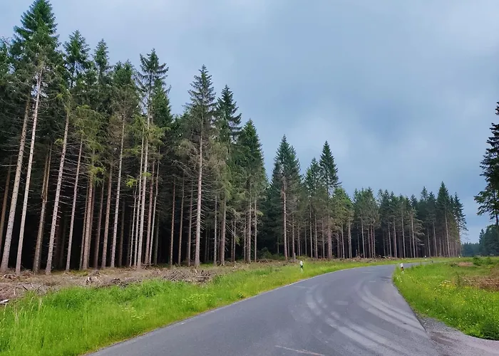 With Terrace Appartement Eisfeld