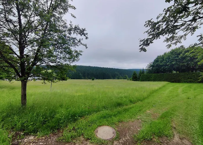 Appartement With Terrace Eisfeld