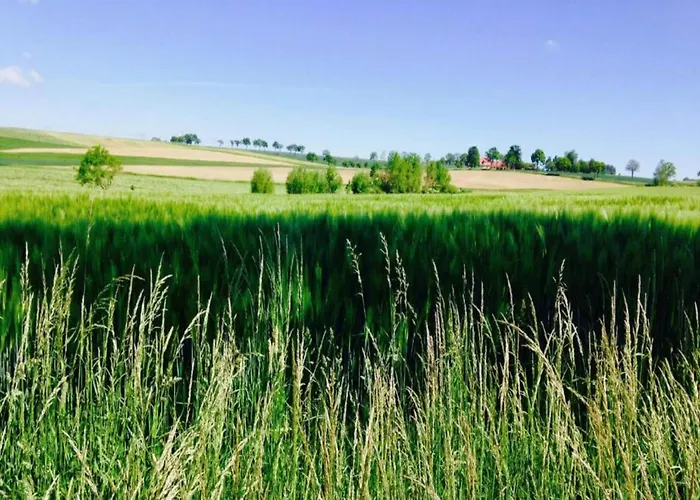 With Terrace * Eisfeld