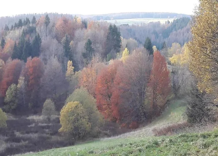 With Terrace Eisfeld